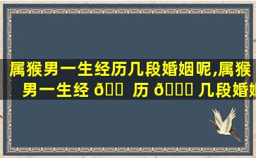 属猴男一生经历几段婚姻呢,属猴男一生经 🐠 历 🍁 几段婚姻呢*